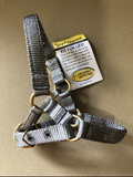 Zephyr Alpaca Halter