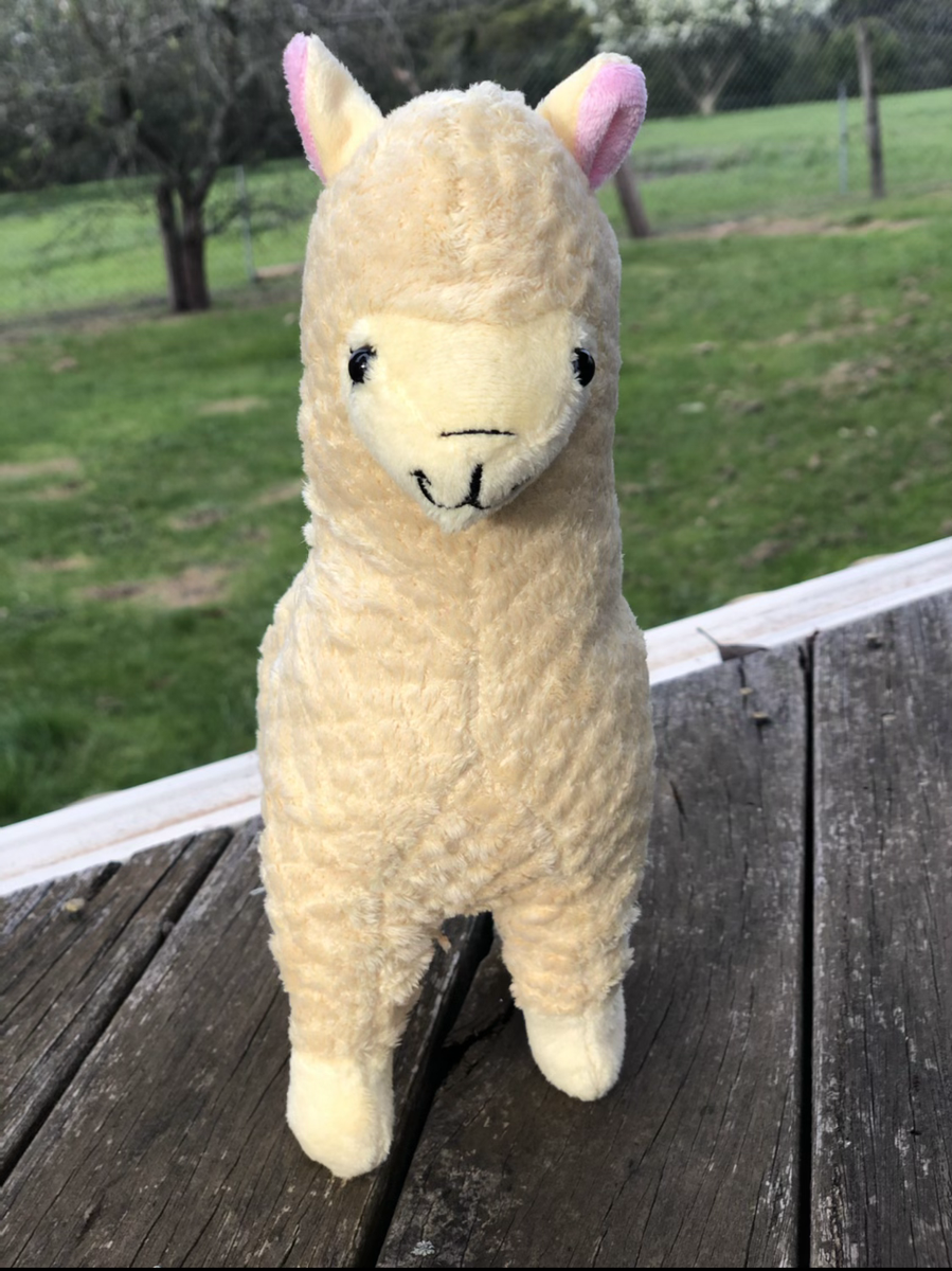 Alpaca Plush 23cm – Maylands Alpacas