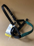 Zephyr Alpaca Halter