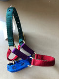Zephyr Alpaca Halter