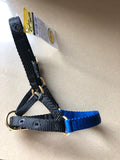 Zephyr Alpaca Halter
