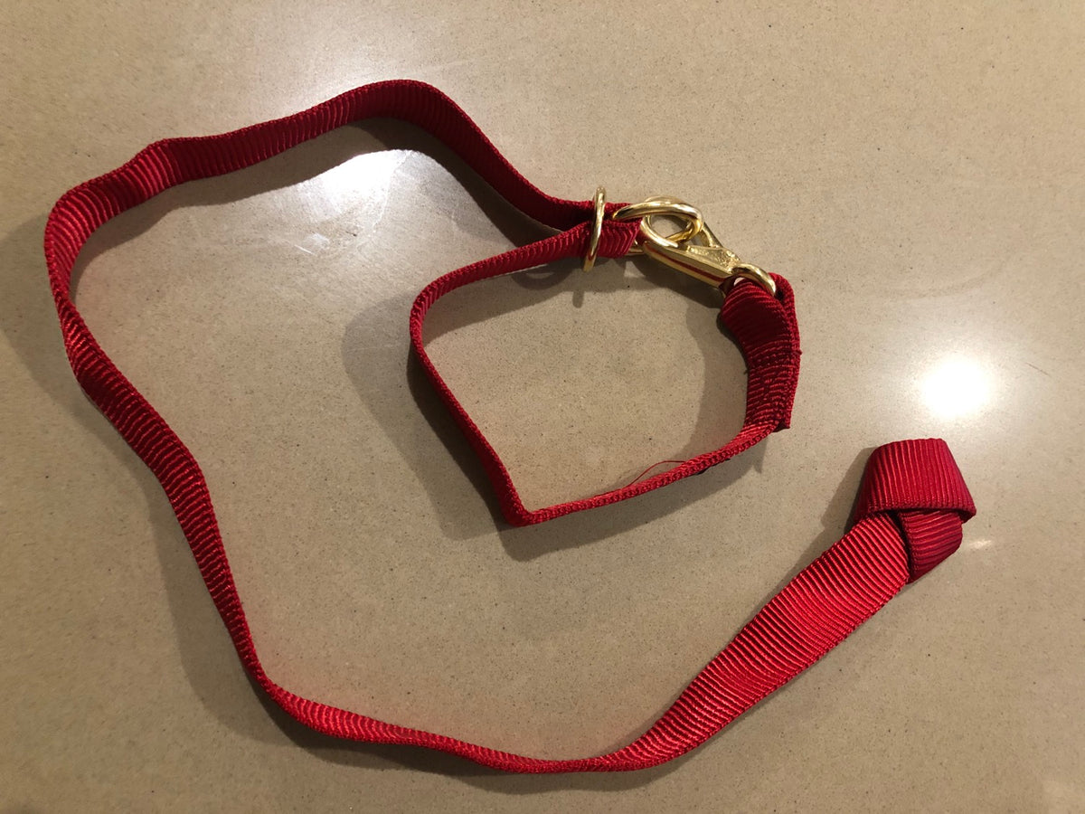 Handler Helper – Maylands Alpacas