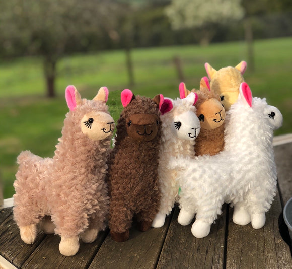 Alpaca Plush 23cm