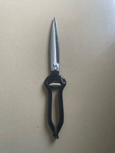 Hand Shears