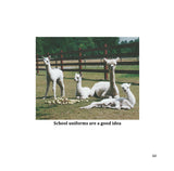 Llamas and Alpacas as a Metaphor for Life Book by Marty McGee Bennett